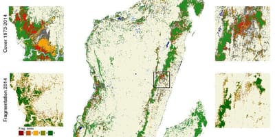 Peta dari Madagascar penebangan hutan